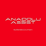 Anadolu ASSİST LOGO 1